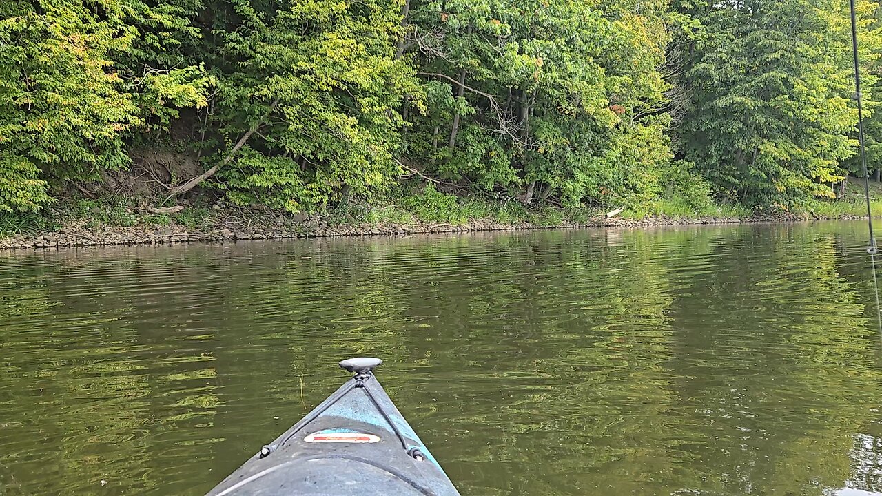smallmouth bass