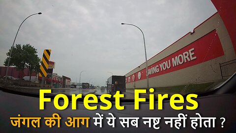 Can't Imagine Forest Fires Can Be So Damaging !जंगल की आग में ये सब नष्ट नहीं होता ? #canada #rawat