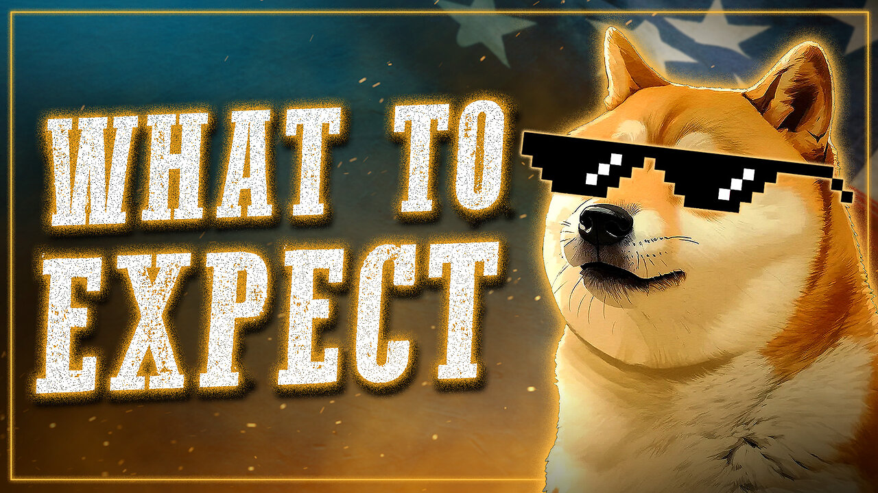DOGE Watch