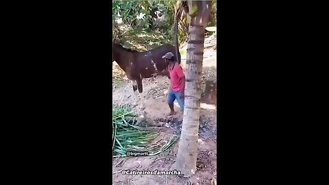 funny short tranding video||😄😄🤣||