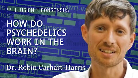 The Neuroscience of Psychedelics With Dr. Robin Carhart-Harris (Part 2)