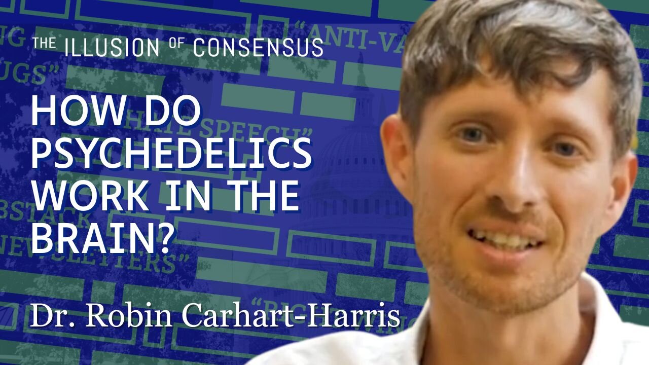 The Neuroscience of Psychedelics With Dr. Robin Carhart-Harris (Part 2)
