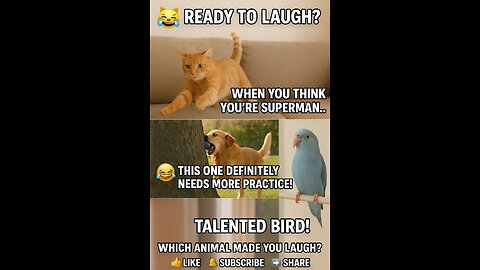 Funny 😹 cats 🐈 and babies 👶
