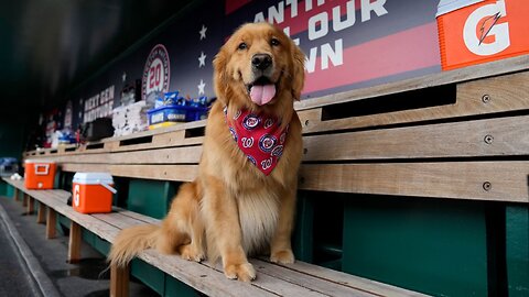 Bruce hizo su debut en la MLB
