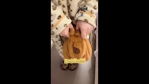funny animal