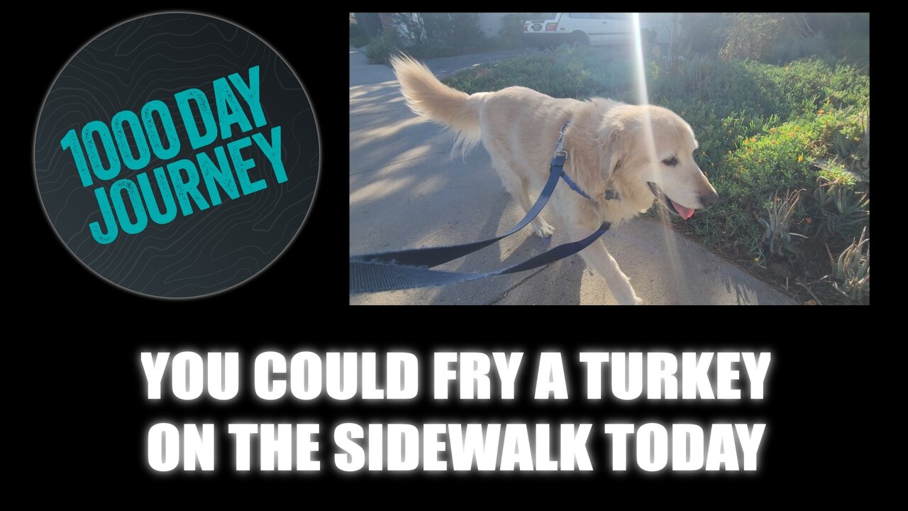 1000 Day Journey 0846 You Could Fry a Turkey on the Sidewalk Today