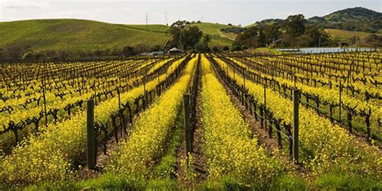 13-2024-10- 15 -Night120 Trenton Missouri Open Heavens operating in the courts of heaven p13