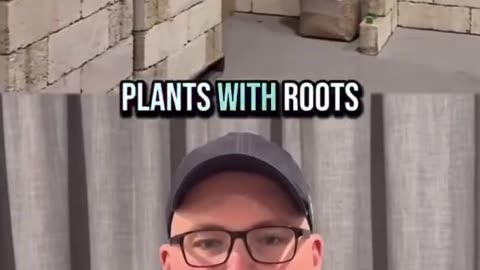 Hempcrete Has Literally Zero Downfalls!