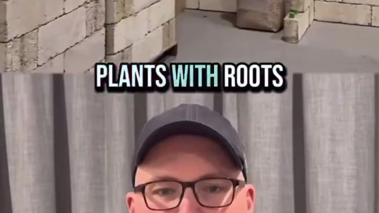 Hempcrete Has Literally Zero Downfalls!