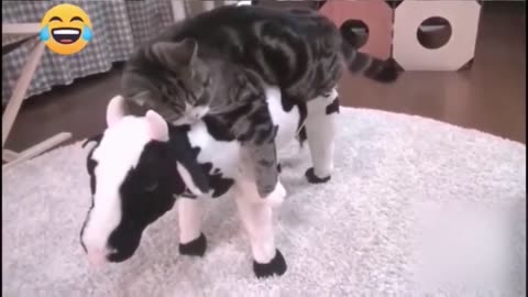 Best Funny Pets Videos _ Try Not To Laugh