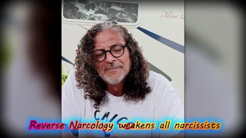 Narcissist Chronicles