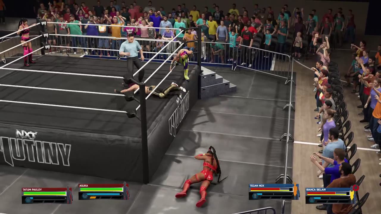 WWE 2k25