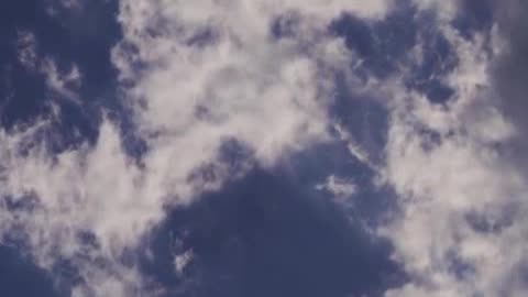 Auction 0.mp4