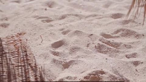 Daily Horoscope | Cancer 🌟