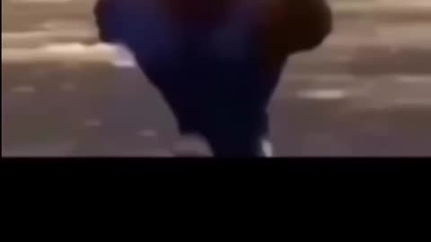 Try not to laugh #2