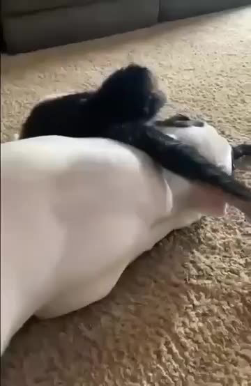 Best friends chilling