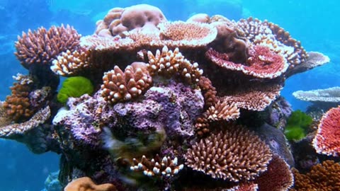 beneath the waves