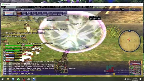 Playing Final Fantasy XI Online
