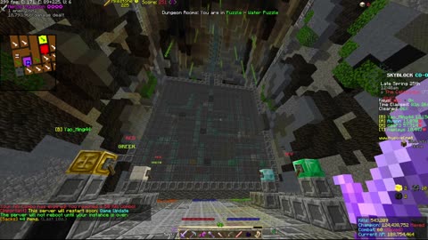 Skyblock FLOOR 7 [#2674]