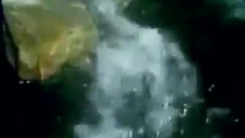 Alan Watts - Flow Like Water