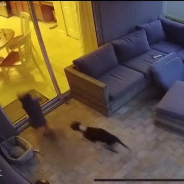 Follow the leader 🤣