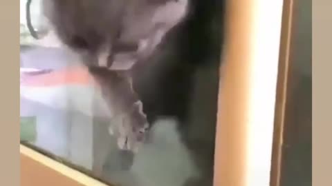 😂🤯 The Impossible Mission is Too Funny! | FunFM