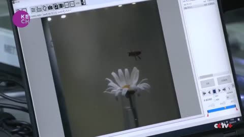 🇨🇳🐝 Chinese scientists have created the first cyborg bees, with the world's smallest