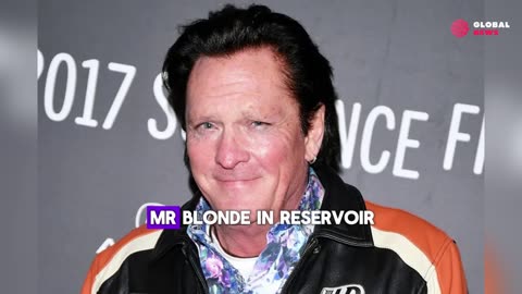 Michael Madsen, Kill Bill and Reservoir Dogs Actor, Dies at 67