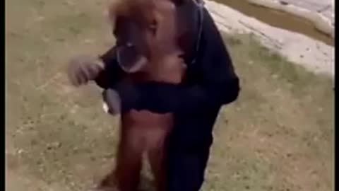 🎉🐶 Dog Getting Ready for a Party is TOO CUTE! | FunFM