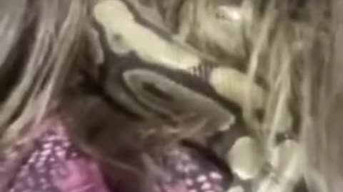 Crowley my snake
