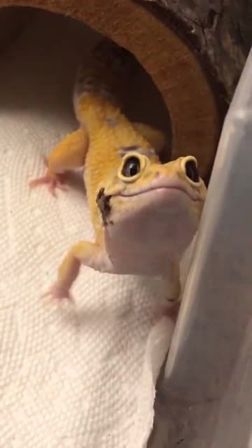 Is that the weekend soon coming? 😊