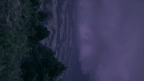 Lonely