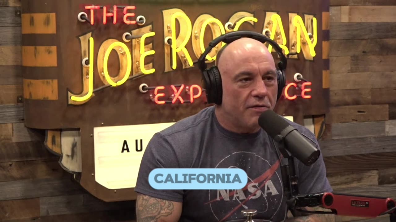 Rogan and Gibson Unpack Duesberg’s AIDS Controversy