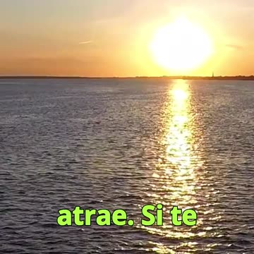 😊 LA LEY DE ATRACCIÓN: CULTIVANDO TU JARDÍN INTERIOR 😊