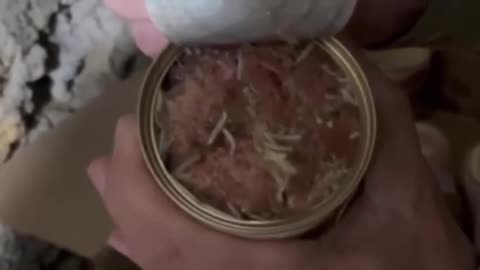 Russian Soldiers Complain About Disgusting Food