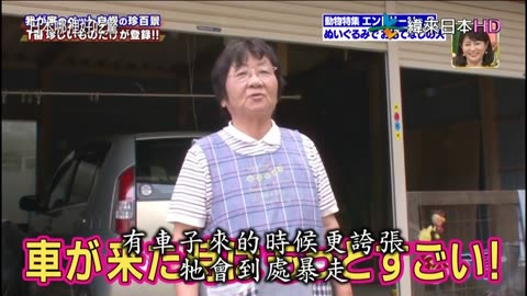 ナニコレ珍百景-現在怎麼樣了-高中