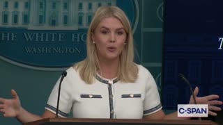 Karoline Leavitt Responds to Rep. Maria Salazar's Legislation on Illegal Immigrants