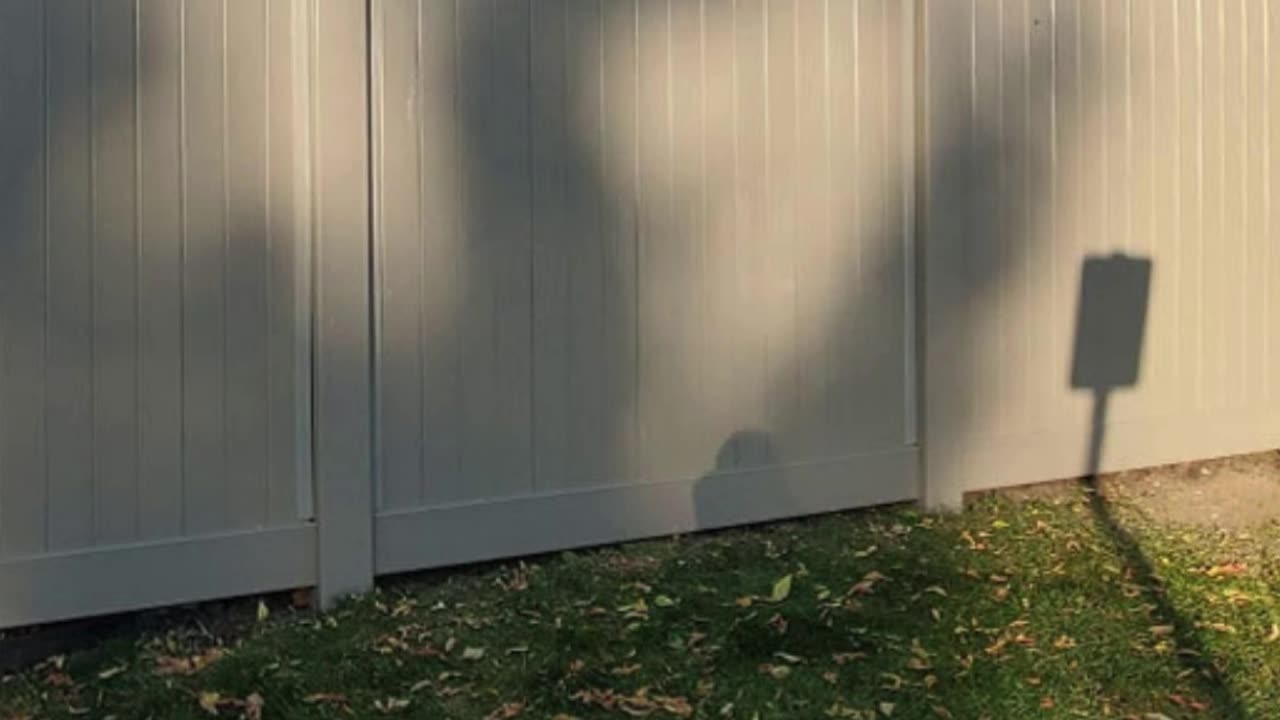 PVC Fence Panels by Oasis: Durable, Low Maintenance & Eco-Friendly Solutions