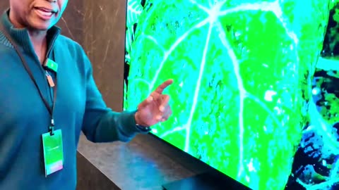 OLED is the best
