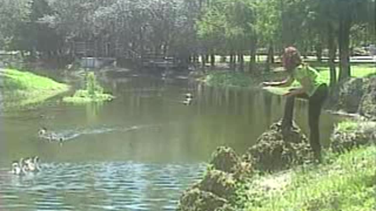 C. Rodriguez - Me enamore