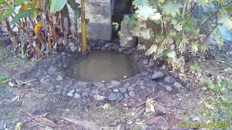 241208C___Madeira_NS-404,_water_in_pond_too_high_for_walkway_--_rebuilding_it.(720p)