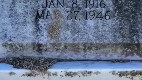 DERANGED HORRORS -VOL. 985: THE MURDER OF EDNA CHEVERE