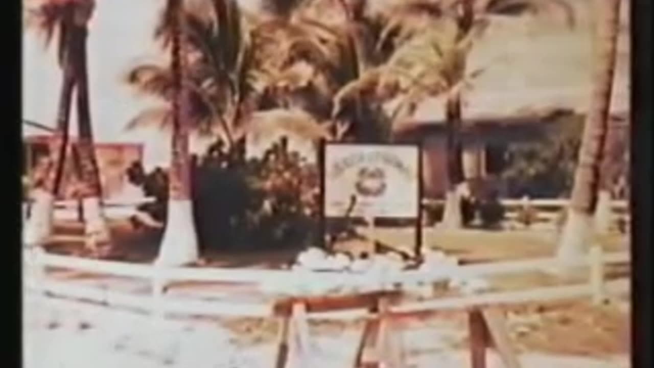 The Enewetak Cleanup