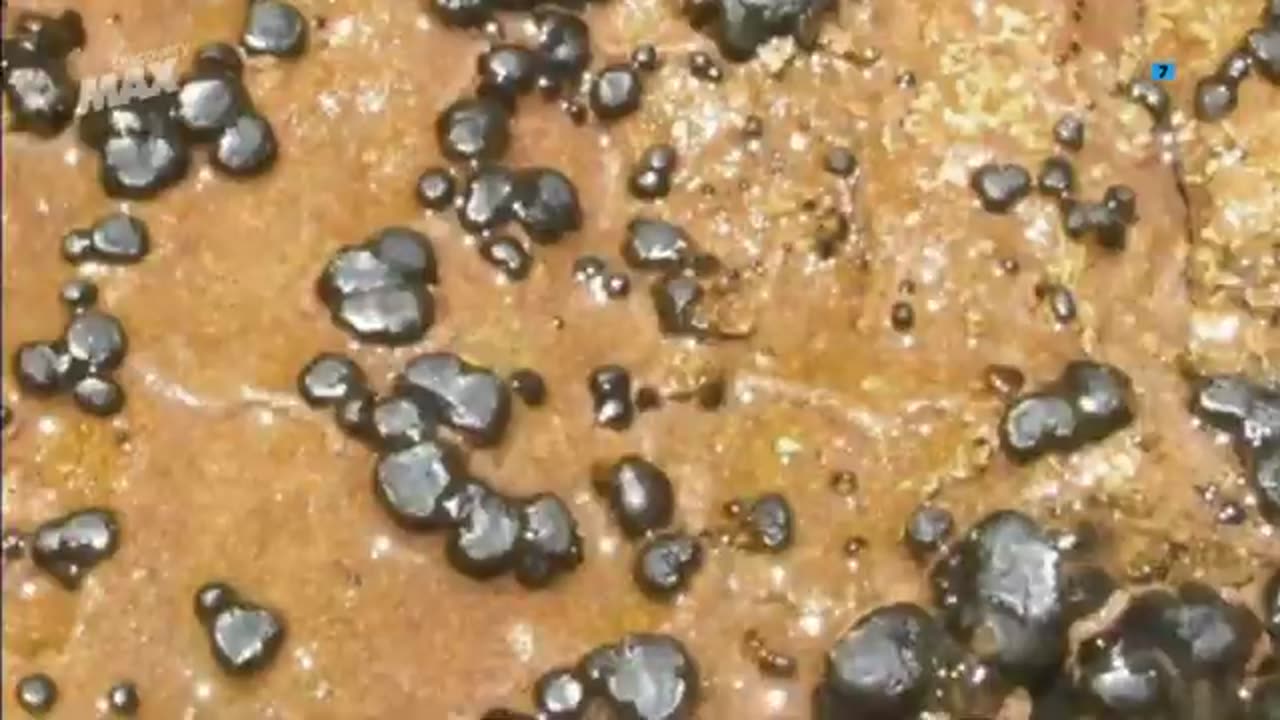 ALIENIGENAS Y ANOMALÍAS - CASO ABIERTO