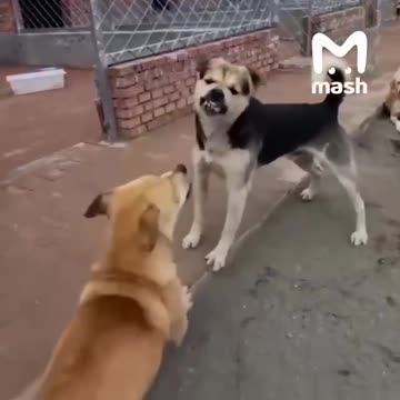 Blessed be the peacemaker 😊