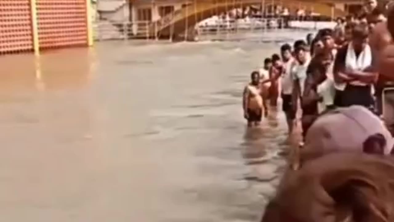 For entertainment 🤣