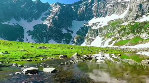 Morning Bliss by the River | Nature’s Peaceful Wake-Up Call