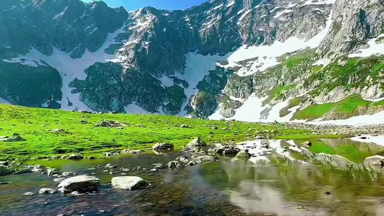 Morning Bliss by the River | Nature’s Peaceful Wake-Up Call