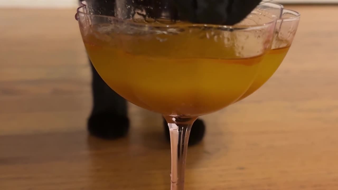 Halloween Kitty's Pumpkin Mocktail