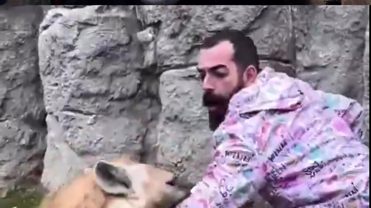 Hyena Bites Man Hard